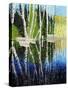 Birch Tree Reflections-Kevin Dodds-Stretched Canvas