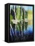 Birch Tree Reflections-Kevin Dodds-Framed Stretched Canvas