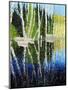 Birch Tree Reflections-Kevin Dodds-Mounted Giclee Print