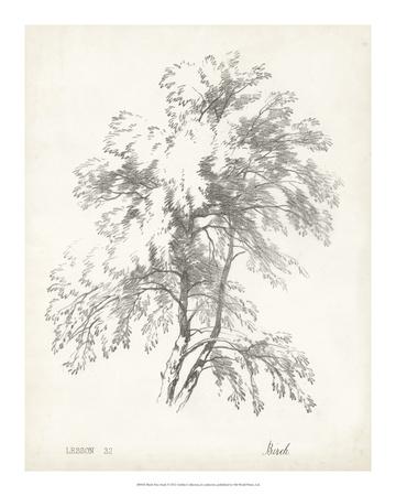 https://imgc.allpostersimages.com/img/posters/birch-tree-study_u-L-F5JOG70.jpg?artPerspective=n