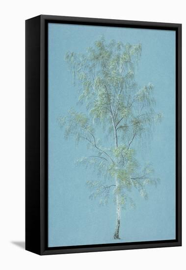 Birch Tree-J. M. W. Turner-Framed Stretched Canvas