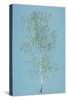 Birch Tree-J. M. W. Turner-Stretched Canvas
