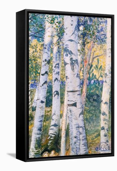 Birch Trees, 1910-Carl Larsson-Framed Stretched Canvas