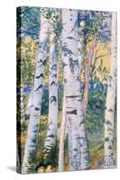 Birch Trees, 1910-Carl Larsson-Stretched Canvas