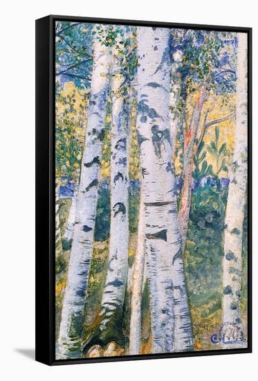 Birch Trees, 1910-Carl Larsson-Framed Stretched Canvas