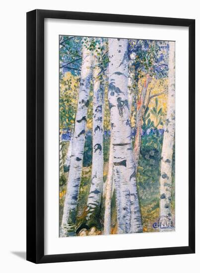 Birch Trees, 1910-Carl Larsson-Framed Premium Giclee Print