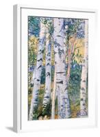 Birch Trees, 1910-Carl Larsson-Framed Giclee Print