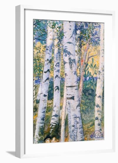 Birch Trees, 1910-Carl Larsson-Framed Giclee Print