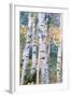 Birch Trees, 1910-Carl Larsson-Framed Giclee Print