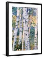 Birch Trees, 1910-Carl Larsson-Framed Giclee Print