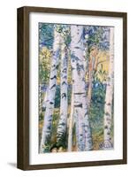 Birch Trees, 1910-Carl Larsson-Framed Giclee Print