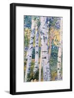 Birch Trees, 1910-Carl Larsson-Framed Giclee Print