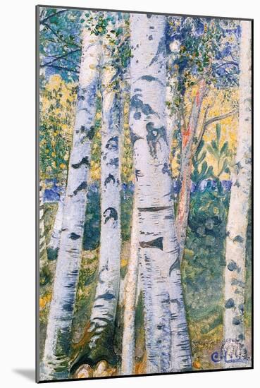 Birch Trees, 1910-Carl Larsson-Mounted Giclee Print