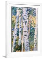 Birch Trees, 1910-Carl Larsson-Framed Giclee Print