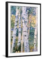 Birch Trees, 1910-Carl Larsson-Framed Giclee Print