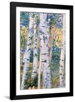 Birch Trees, 1910-Carl Larsson-Framed Giclee Print