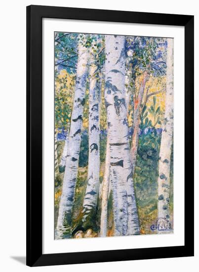 Birch Trees, 1910-Carl Larsson-Framed Giclee Print