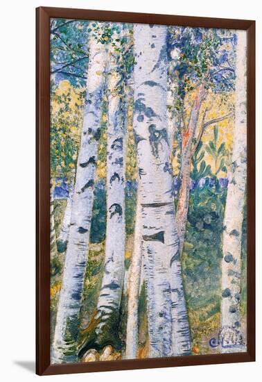 Birch Trees, 1910-Carl Larsson-Framed Giclee Print