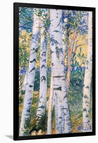 Birch Trees, 1910-Carl Larsson-Framed Giclee Print