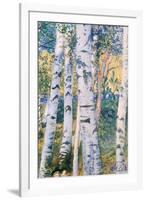 Birch Trees, 1910-Carl Larsson-Framed Premium Giclee Print