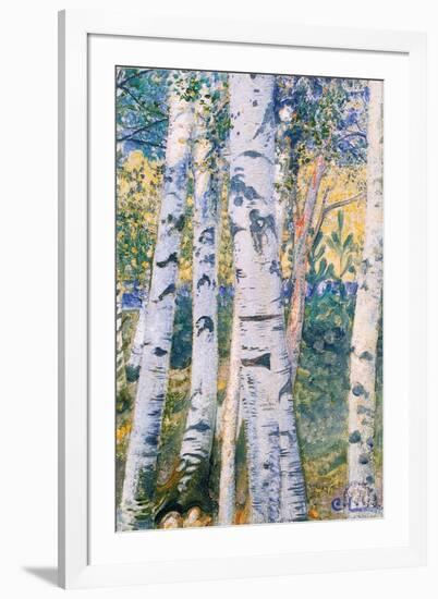 Birch Trees, 1910-Carl Larsson-Framed Premium Giclee Print