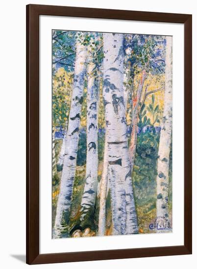 Birch Trees, 1910-Carl Larsson-Framed Premium Giclee Print