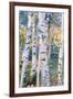 Birch Trees, 1910-Carl Larsson-Framed Premium Giclee Print