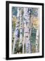 Birch Trees, 1910-Carl Larsson-Framed Premium Giclee Print