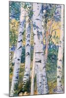 Birch Trees, 1910-Carl Larsson-Mounted Premium Giclee Print