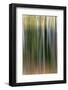 Birch Trees and Autumn Colors Reflected on Red Jack Lake, Upper Peninsula of Michigan-Adam Jones-Framed Photographic Print