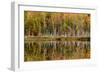 Birch Trees and Autumn Colors Reflected on Red Jack Lake, Upper Peninsula of Michigan-Adam Jones-Framed Photographic Print