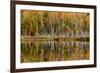 Birch Trees and Autumn Colors Reflected on Red Jack Lake, Upper Peninsula of Michigan-Adam Jones-Framed Photographic Print