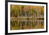 Birch Trees and Autumn Colors Reflected on Red Jack Lake, Upper Peninsula of Michigan-Adam Jones-Framed Photographic Print