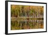 Birch Trees and Autumn Colors Reflected on Red Jack Lake, Upper Peninsula of Michigan-Adam Jones-Framed Photographic Print