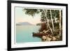 Birch Trees by Lake-null-Framed Premium Giclee Print