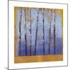 Birch Trees II-Cheryl Martin-Mounted Print