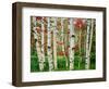 Birch trees in autumn, Acadia National Park, Maine, USA-null-Framed Photographic Print