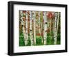 Birch trees in autumn, Acadia National Park, Maine, USA-null-Framed Photographic Print