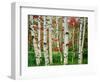 Birch trees in autumn, Acadia National Park, Maine, USA-null-Framed Photographic Print