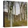 Birch Trees in Autumn, C.1898 (Oil on Wood)-Hans Am Ende-Stretched Canvas