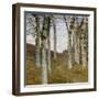 Birch Trees in Autumn, C.1898 (Oil on Wood)-Hans Am Ende-Framed Giclee Print