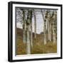 Birch Trees in Autumn, C.1898 (Oil on Wood)-Hans Am Ende-Framed Giclee Print