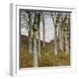 Birch Trees in Autumn, C.1898 (Oil on Wood)-Hans Am Ende-Framed Giclee Print