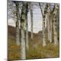 Birch Trees in Autumn, C.1898 (Oil on Wood)-Hans Am Ende-Mounted Giclee Print