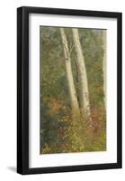 Birch Trees in Autumn-Frederic Edwin Church-Framed Premium Giclee Print