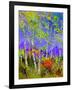 Birch Trees In Spring-Pol Ledent-Framed Art Print