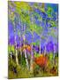 Birch Trees In Spring-Pol Ledent-Mounted Art Print