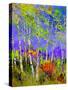 Birch Trees In Spring-Pol Ledent-Stretched Canvas