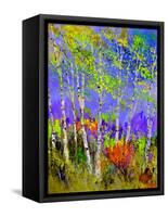 Birch Trees In Spring-Pol Ledent-Framed Stretched Canvas