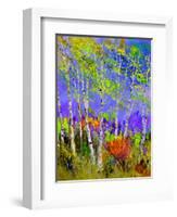 Birch Trees In Spring-Pol Ledent-Framed Art Print